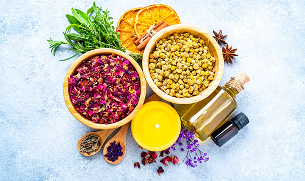 epilepsy alternatives treatments